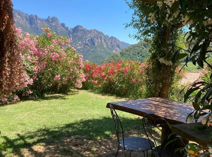 Domaine U Bugnu Frühstückspension 3*