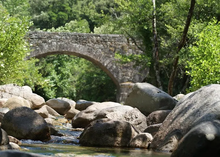 Domaine U Bugnu 3* Vico