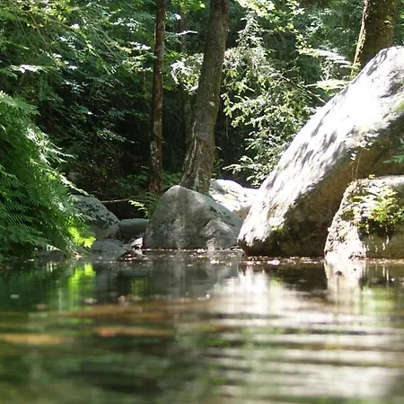 Domaine U Bugnu Vico