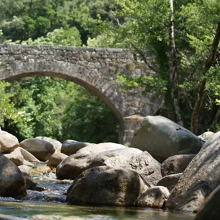 Domaine U Bugnu 3* Vico