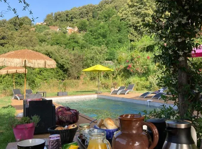 Couette-café Domaine U Bugnu Vico