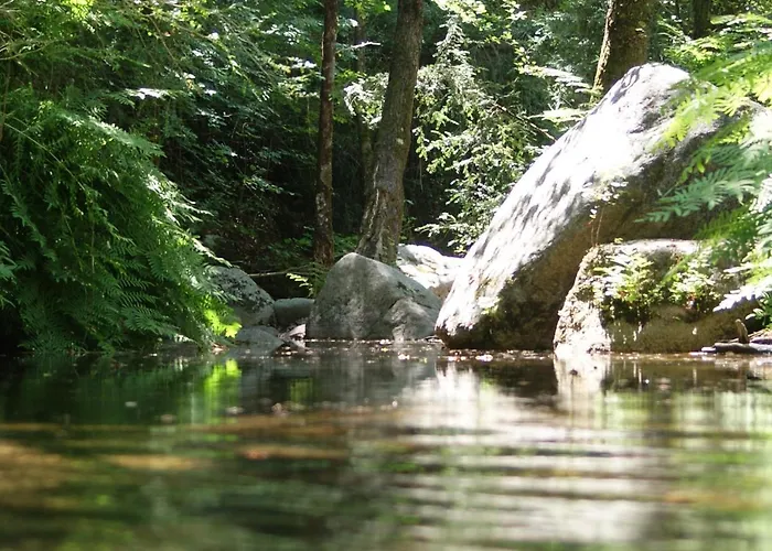 Domaine U Bugnu Vico