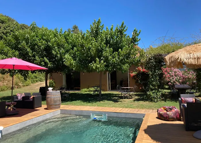 Domaine U Bugnu 住宿加早餐酒店 Vico